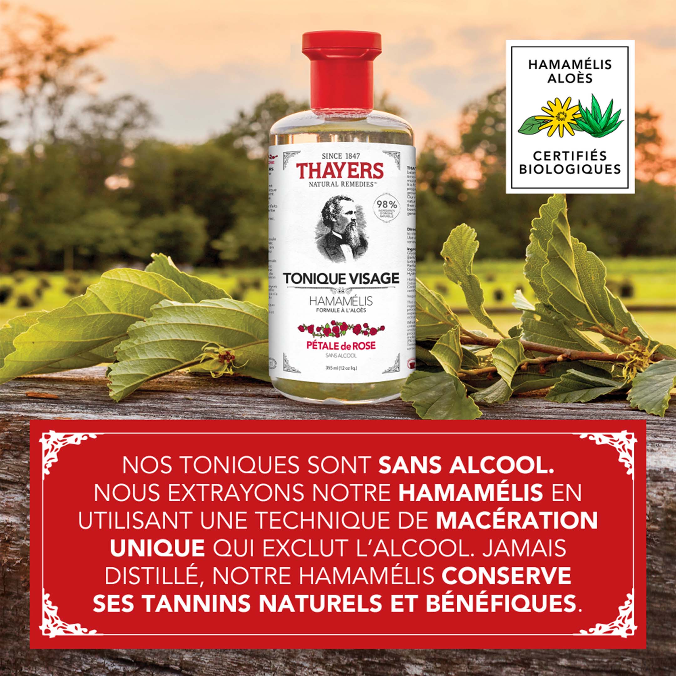 Alcohol Free Witch Hazel Toner Rose - Image 10