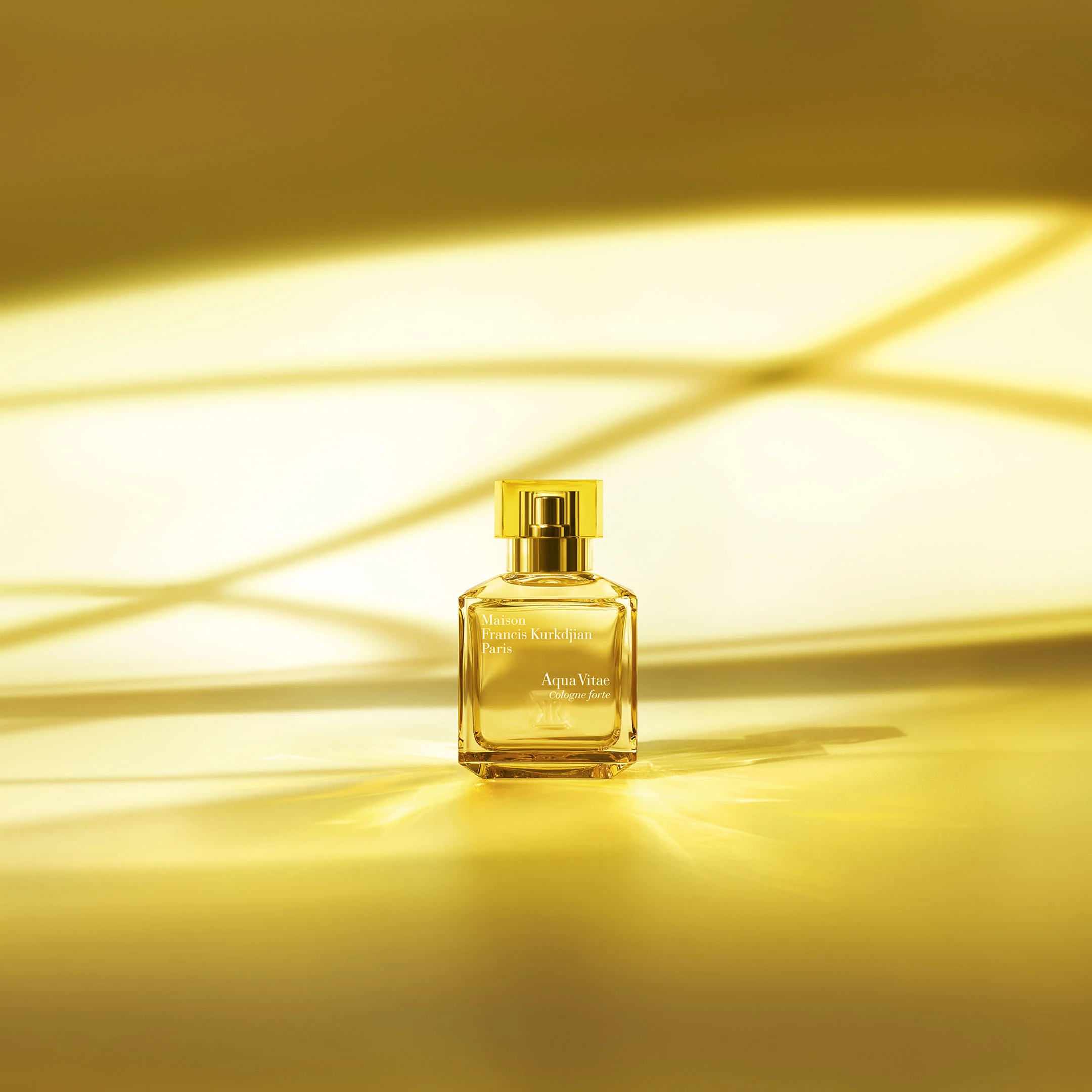 Aqua Vitae Cologne Forte - Eau De Parfum - Image 6