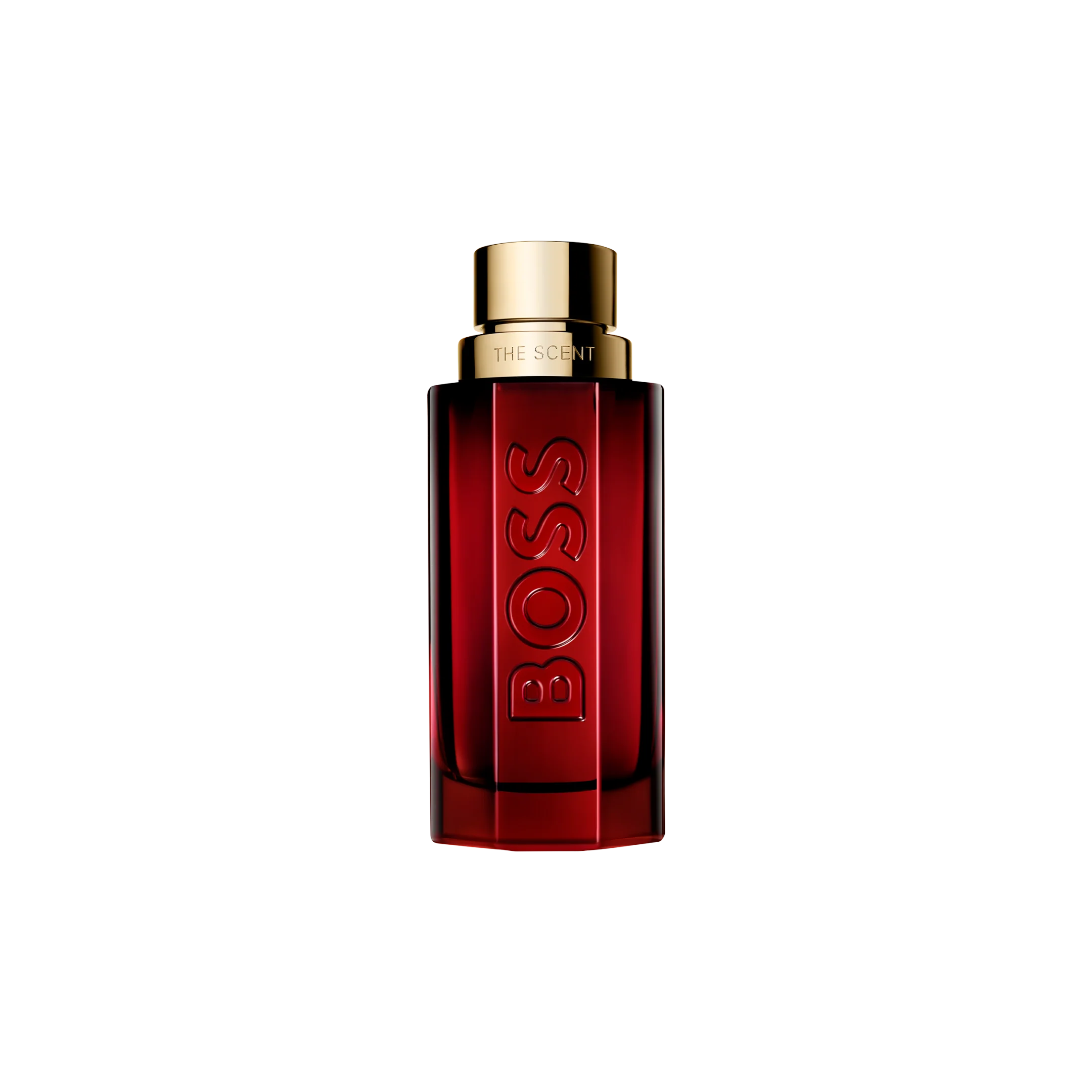BOSS The Scent Elixir Parfum Intense for Him 100ml (3.3oz)