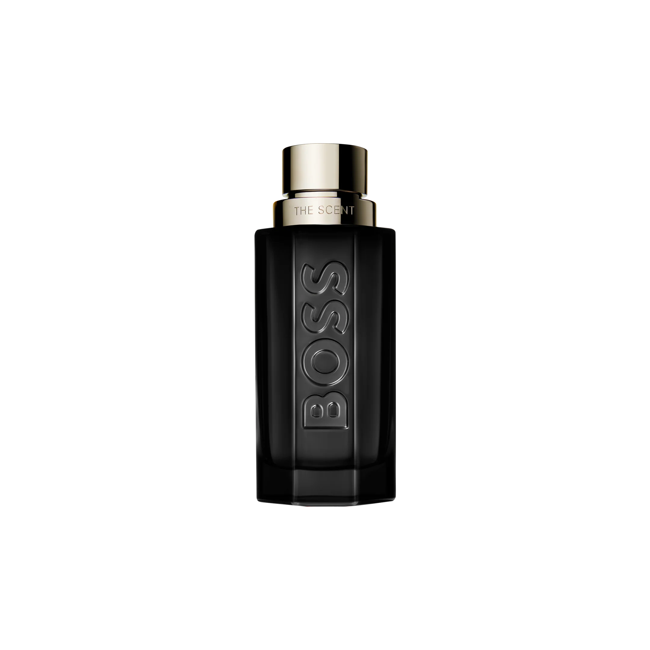 BOSS The Scent Magnetic Eau de Parfum for Him 100ml (3.3oz)