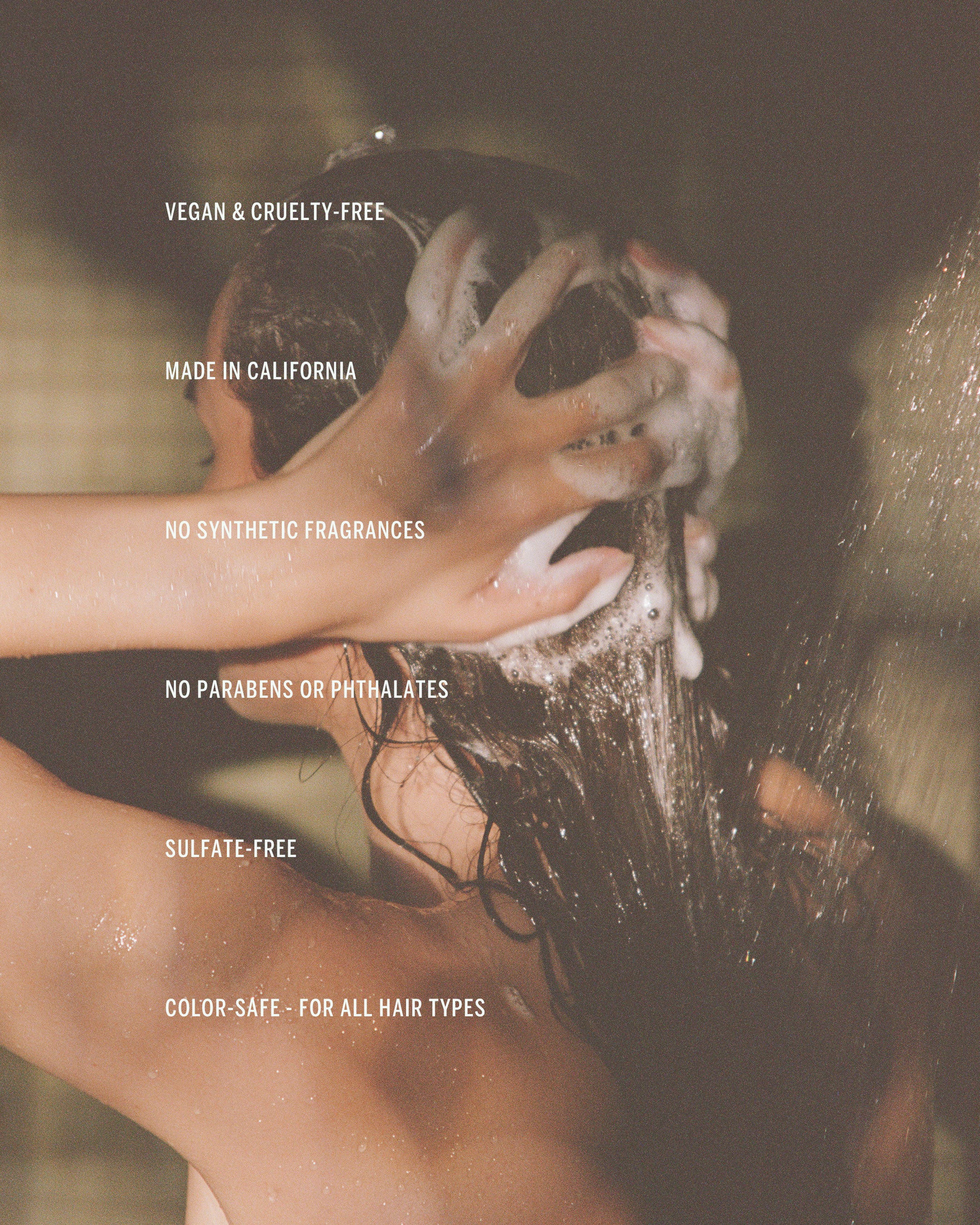 Cypress Shampoo - Image 4