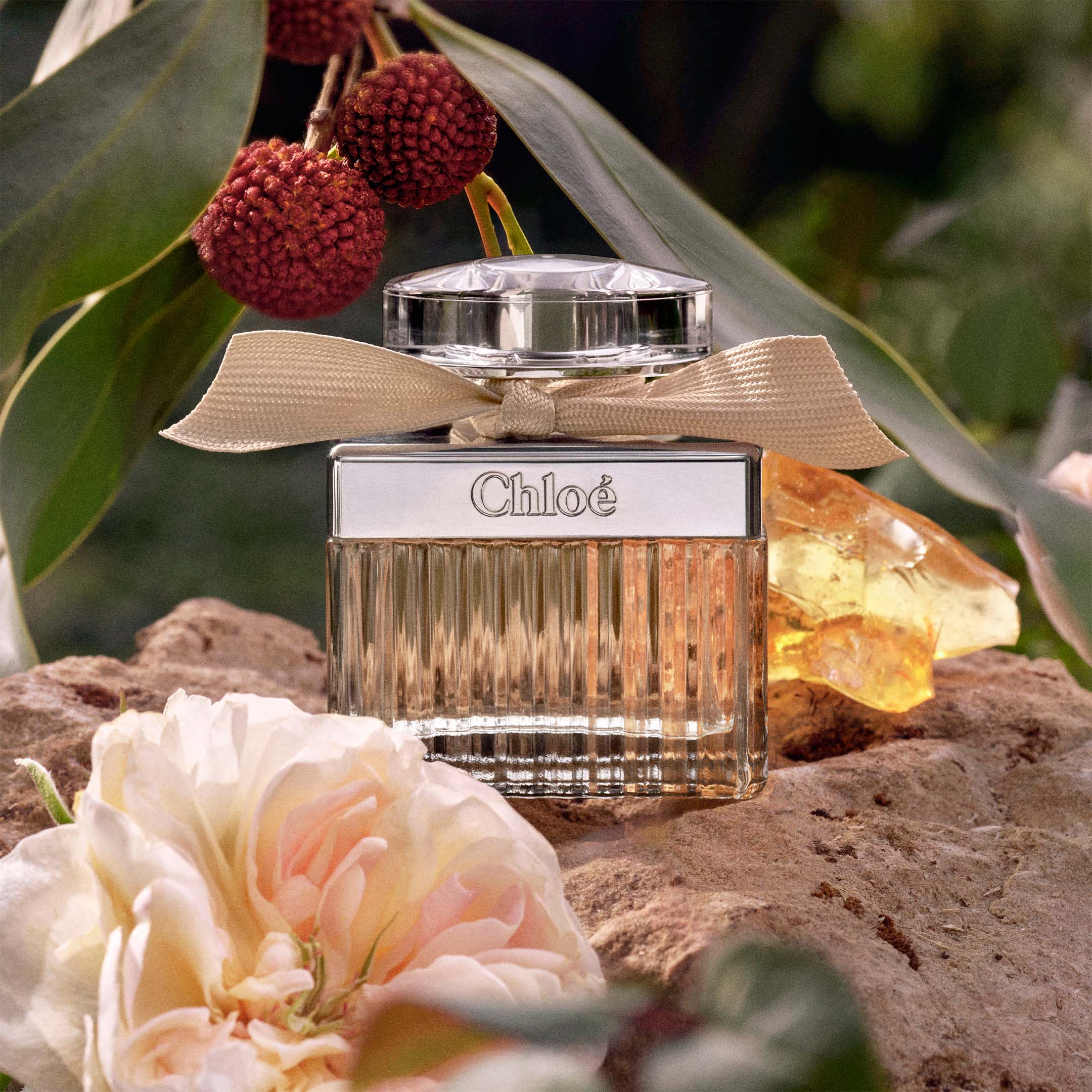 Eau De Parfum For Women - Image 3