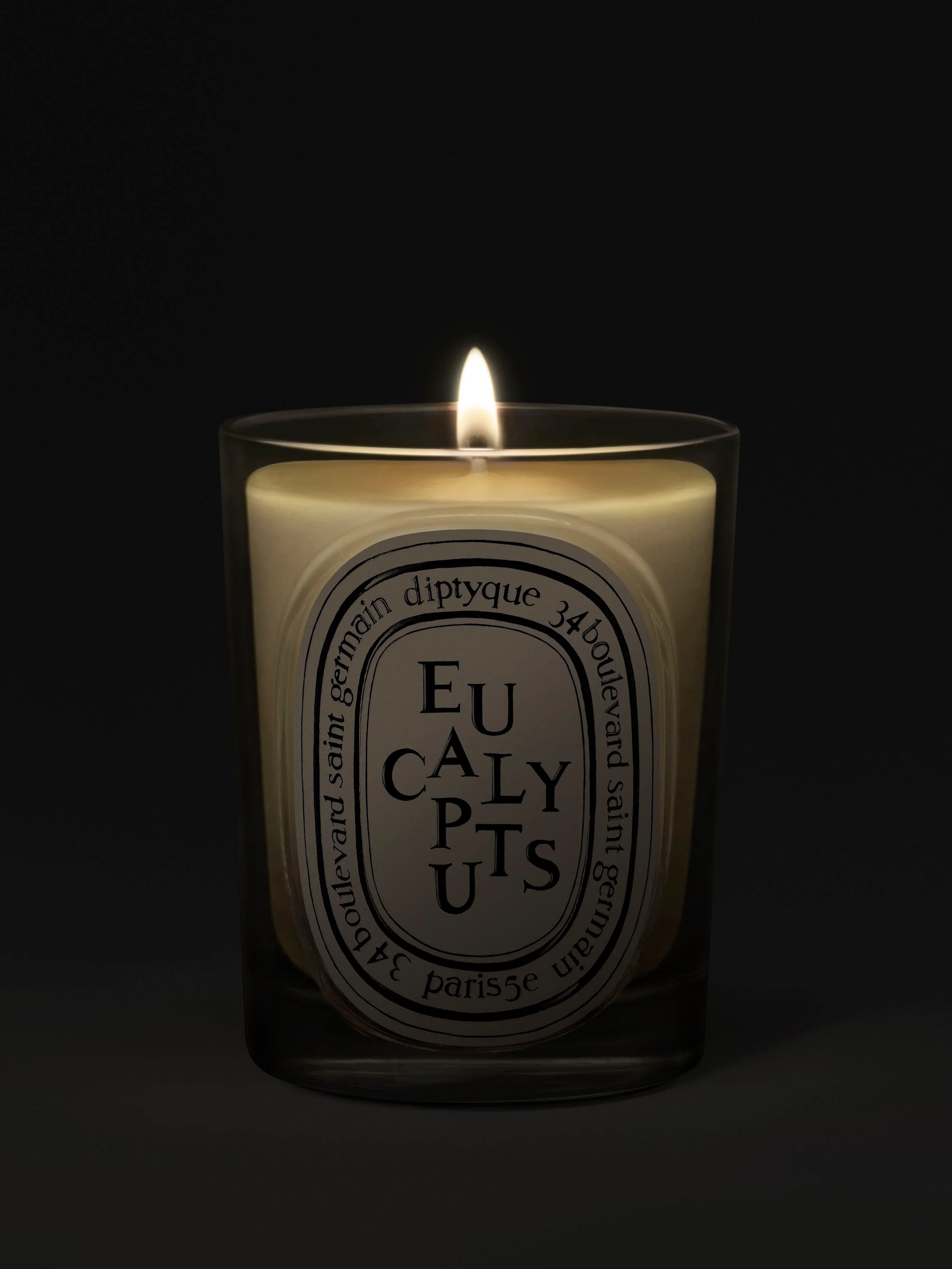 Eucalyptus Classic Candle - Image 3