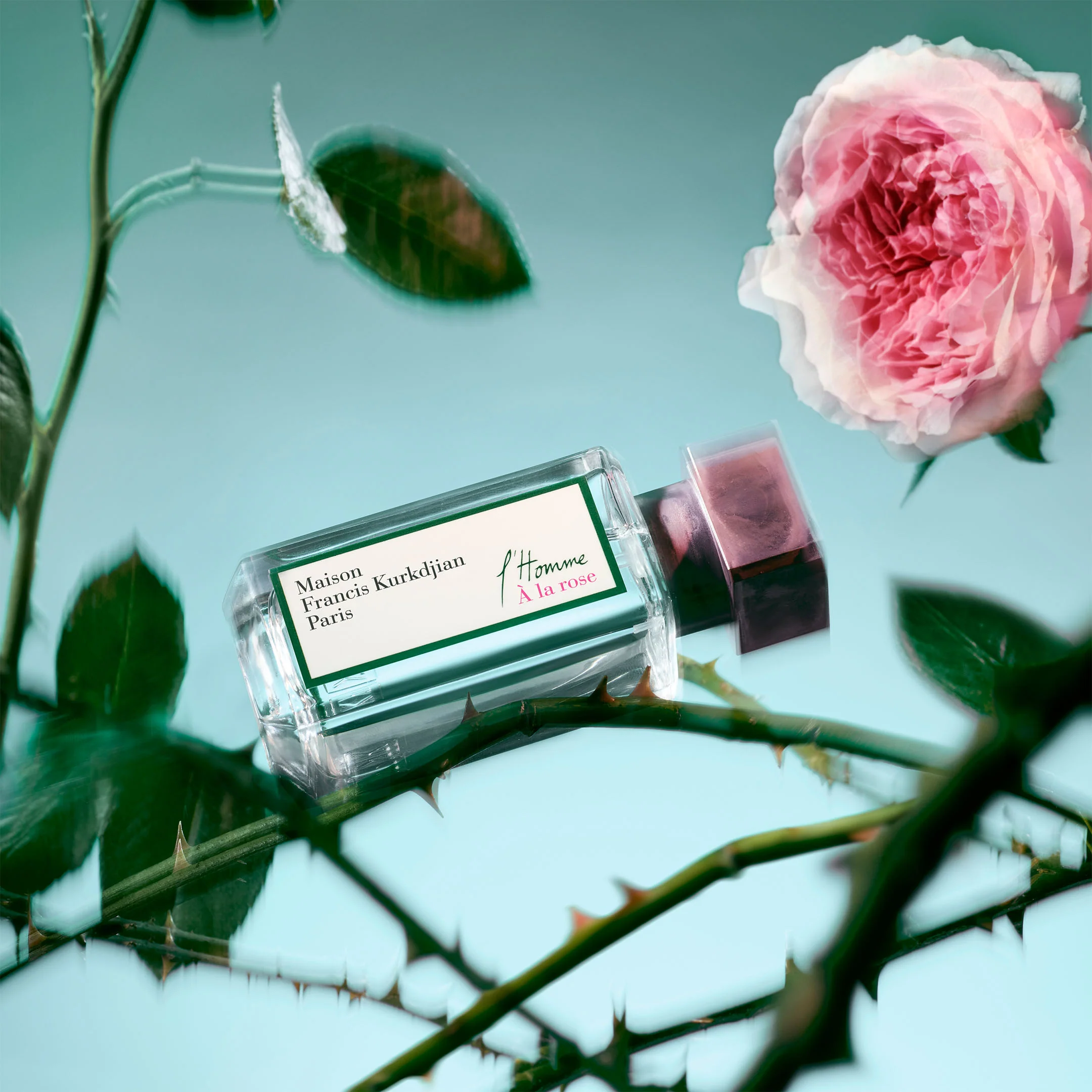 L'Homme À La Rose - Eau De Parfum - Image 4