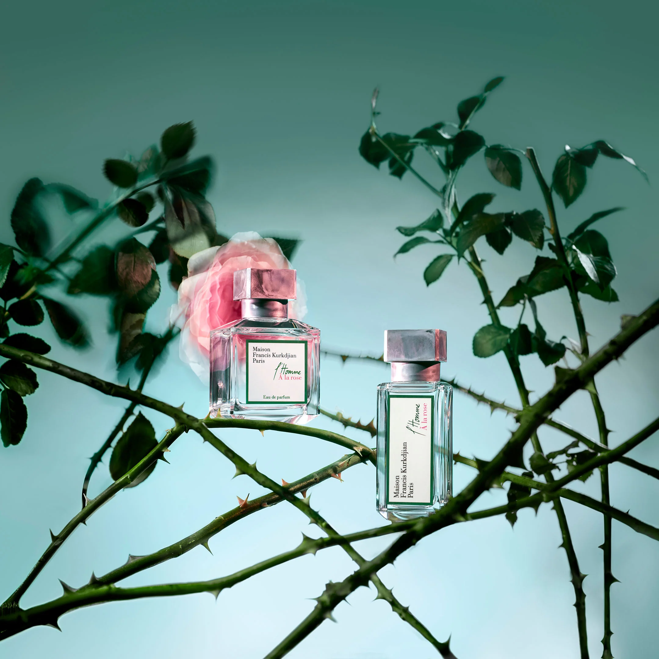 L'Homme À La Rose - Eau De Parfum - Image 5