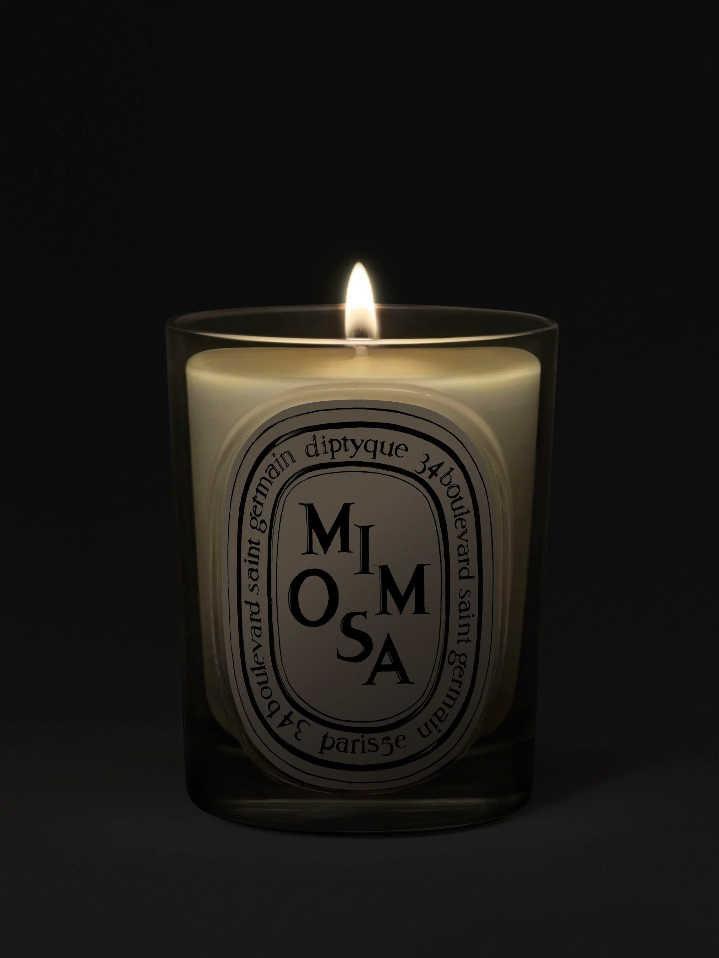 Mimosa Classic Candle - Image 3
