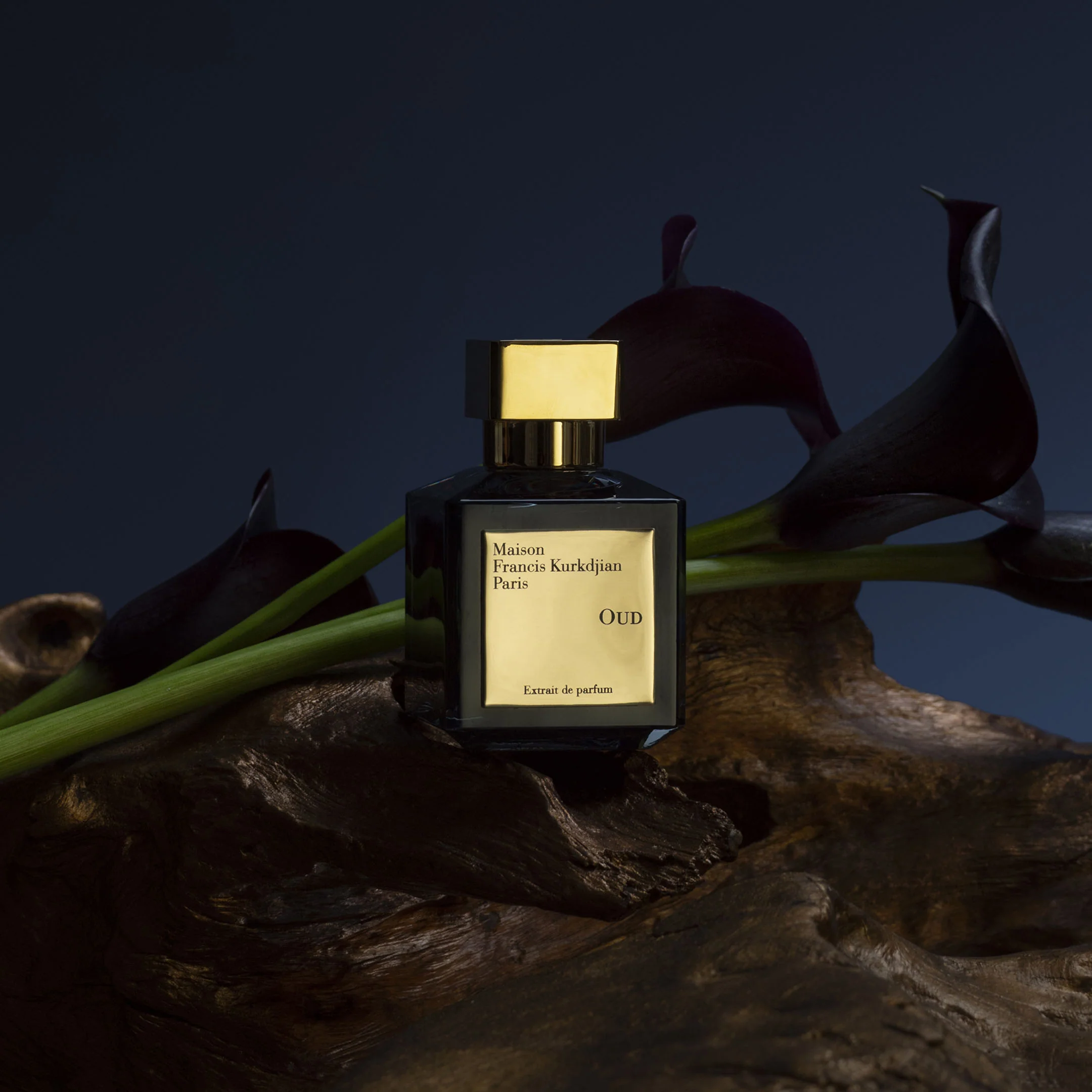 Oud - Extrait De Parfum - Image 4