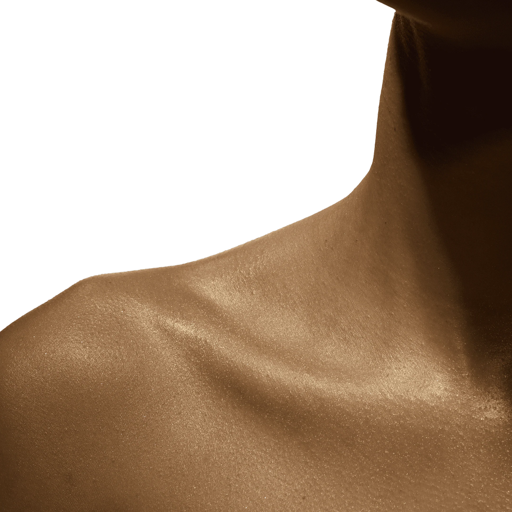 Portofino ’97  Golden Shimmer Body Oil - Image 8