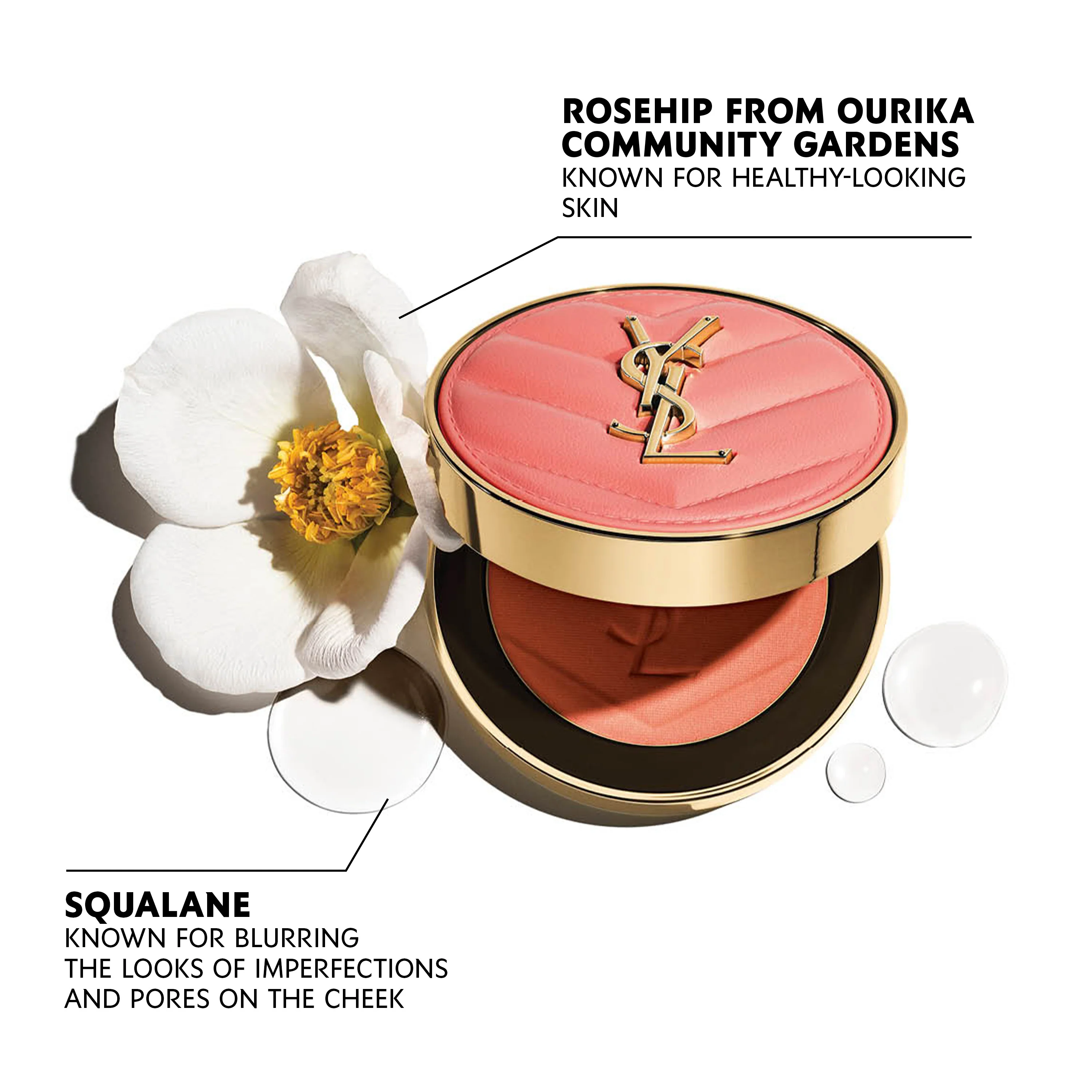 Powder Blush