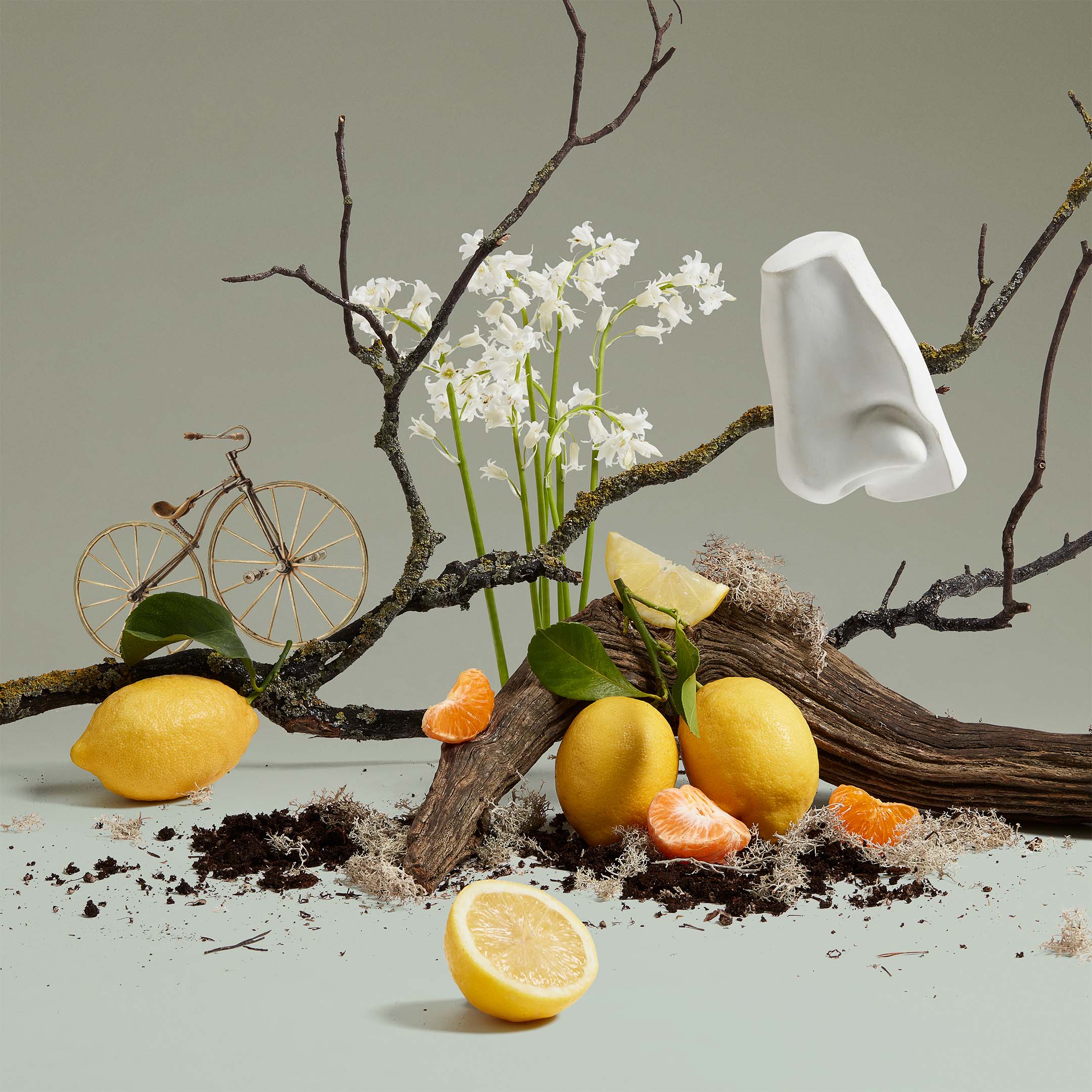 Quercus Eau De Cologne - Image 4
