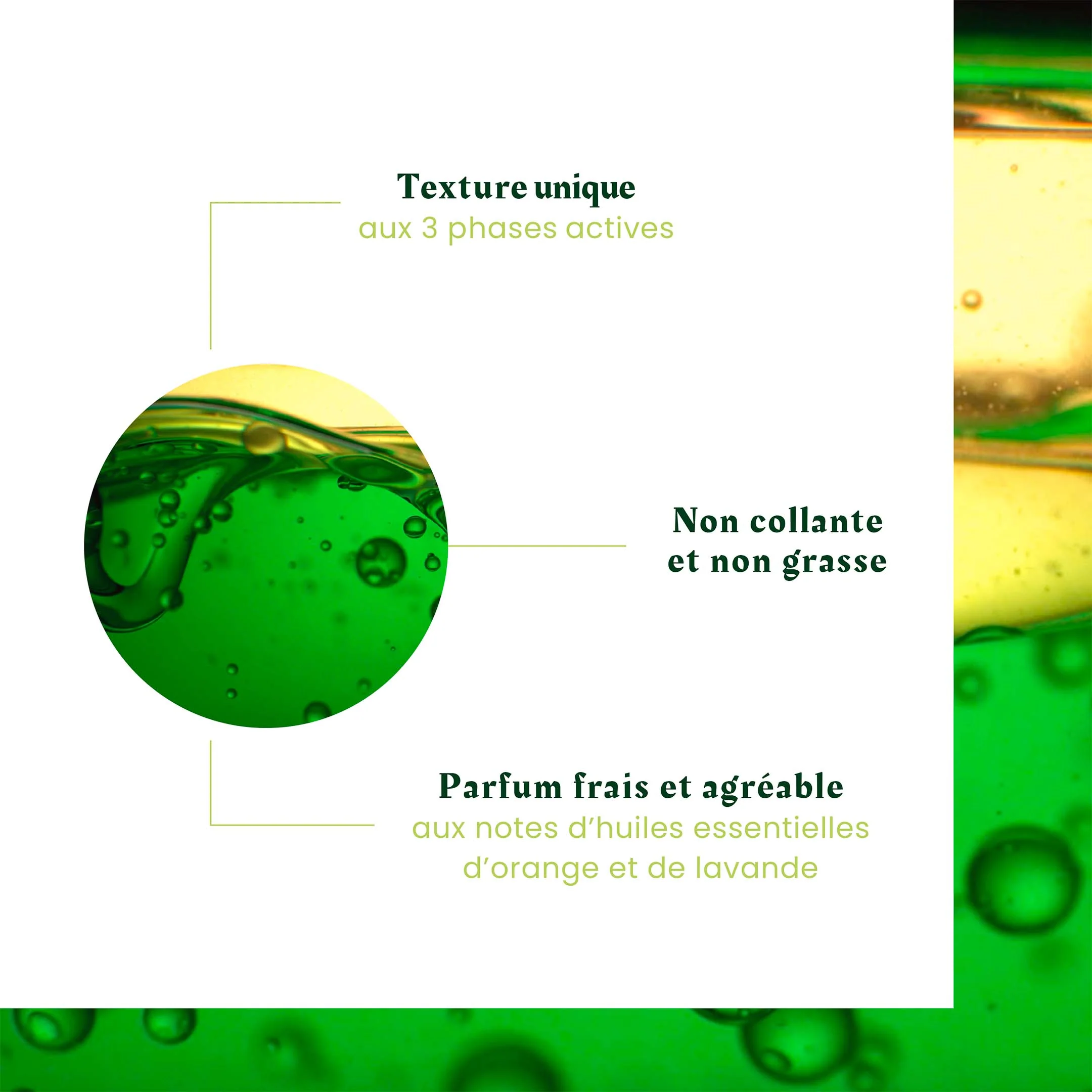 René Furterer Progressive Loss Of Density Routine - Triphasic Progressive 8X5,5Ml - Image 9
