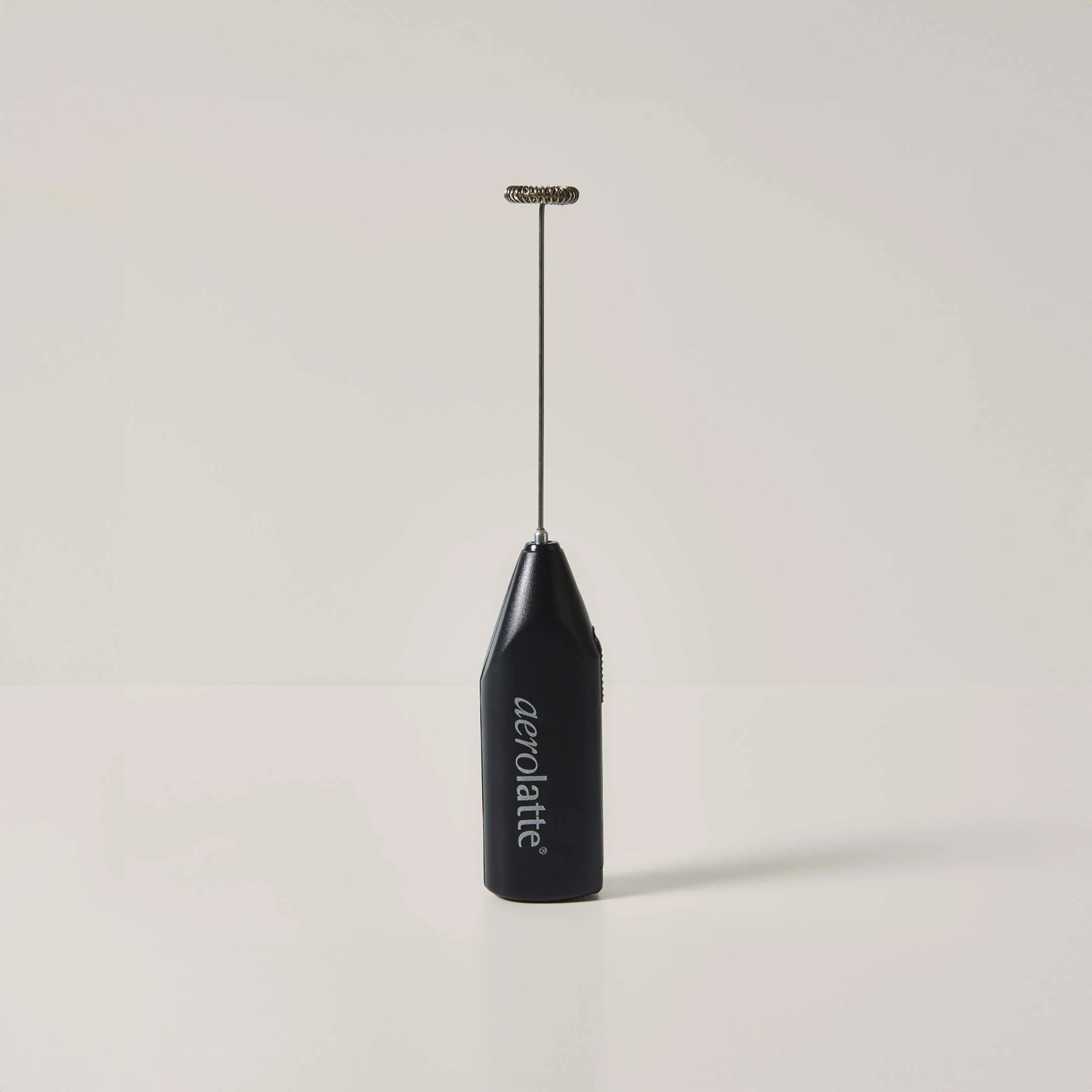 Stainless Steel Whisk