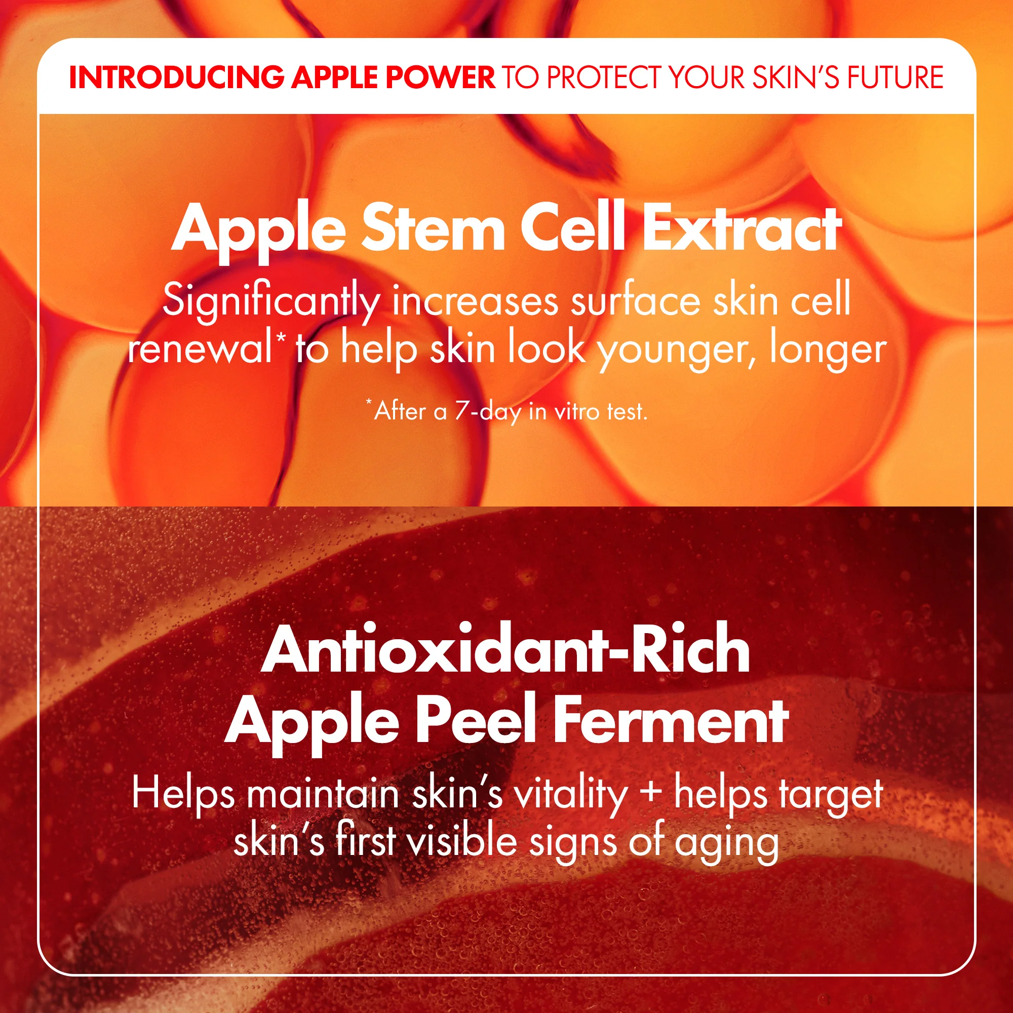 Youthtopia™ Peptide Plumping Apple Cream - Image 5